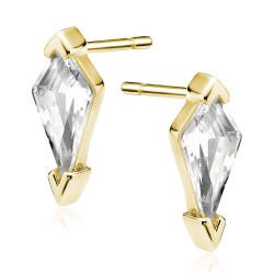 Cercei argint placati cu aur galben cu piatra DiAmanti Z1721EG-DIA (Argint 925‰ 1,5 g.)